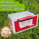 МультиИнкубатор «ВЕСНА первая»