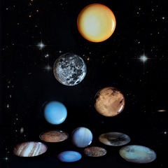 Тарелка Venus