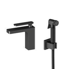 Timo Torne 4360/03G Смеситель для раковины с гигиеническим душем, цвет: чёрный фото