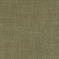 Жаккард Era olive (Эра олив)