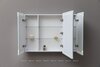 Aquanet 341428 Зеркальный шкаф Оптима (Optima) 110х80 LED (341428)