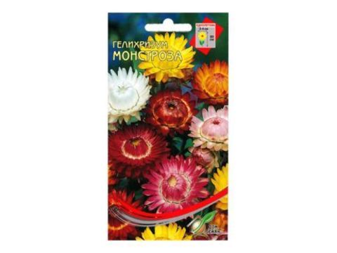 Семена Гелихризум Монстроза