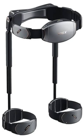 Экзоскелет VIGX π6