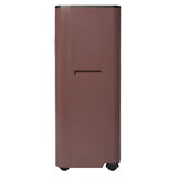 Кондиционер мобильный Ballu Twinkle BPAC-09 DWR/N6 Red — фото 3