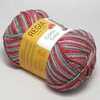 Пряжа Cotton Color Regia