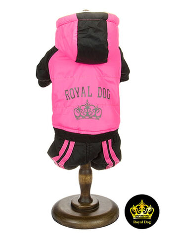 Royal Dog cпорт девочка стандарт XS