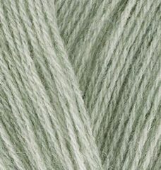 Пряжа ALIZE "Angora Gold" 881 полынь меланж