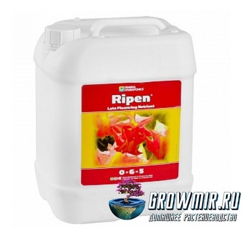 Original GH Ripen 5L