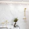 Hansgrohe AddStoris 41746990 Мыльница, PGO