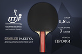 Ракетка Gambler 2 STAR (коническая) фото №3