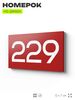 Номер на дверь 229, табличка на дверь для офиса, квартиры, кабинета, аудитории, склада, красная 120х70 мм, Айдентика Технолоджи