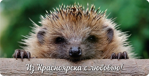 Урал Сувенир - Красноярск кружка керамика 300 мл №0014