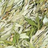 Веник из ивы - 2
