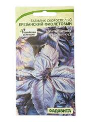 Базилик Ереванский фиолетовый (Садовита)
