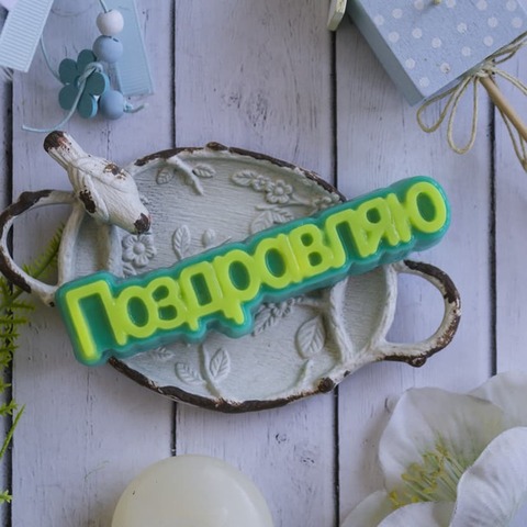 Пластиковая форма 