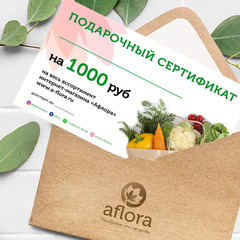 Подарочный сертификат на 1000 рублей