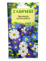 Брахикома Маргарита (Гавриш)