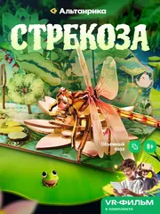 Стрекоза