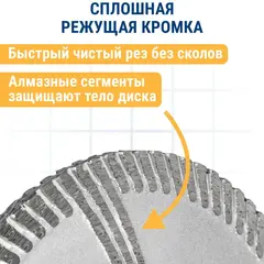 Диск алмазный турбированный ПРАКТИКА Профи 125 х 22 мм, сегмент 10мм (030-795)