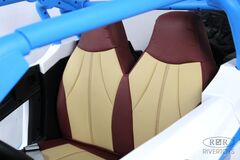 BUGGY E001EE 4WD с дистанционным управлением