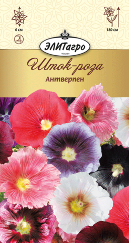 Семена Шток-роза Антверпен смесь, мнг