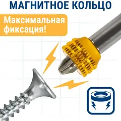 Бита отверточная ПРАКТИКА Профи PH-2 х  50мм  с магнитным кольцом (2 шт) (915-618)