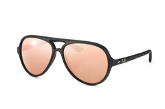 Ray Ban Cats