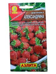 Земляника Александрина (Аэлита)