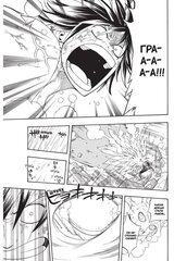 Fairy Tail. Хвост Феи. Том 8