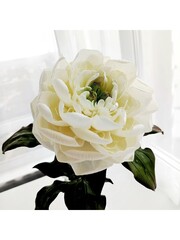 Вайнер силиконовый серединка Пиона 6х6см