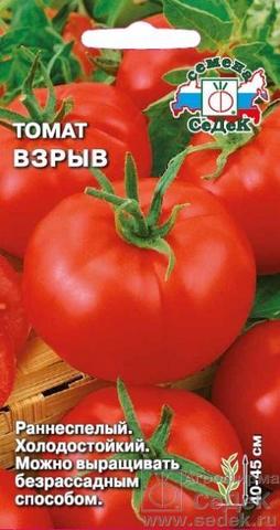 Семена Томат Взрыв, высота 45 см, масса 150 гр, цв 0,1 гр