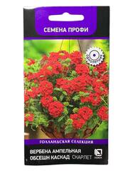 Вербена ампельная Обсешн Каскад Скарлет (Поиск)