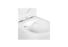 Aquatek SET Aquatek ЕВРОПА cm-009 4в1 SET Aquatek ЕВРОПА cm-009 4в1 (рама Aquatek Standard INS-0000012+крепеж KKI-0000002+клавиша KDI-0000009+унитаз ЕВРОПА AQ1900-00 с тонким сиденьем sc)