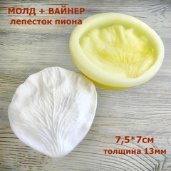 Молд пластиковый+Вайнер силиконовый 