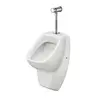 Santek 1WH501805 Писсуар "Гала" с нажимным краном, с креплением, сифон вертикальный