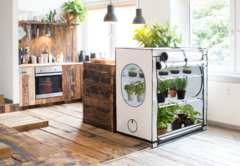homebox-ambient цвет гроутента  Growmir гроумир гровмир купить в москве