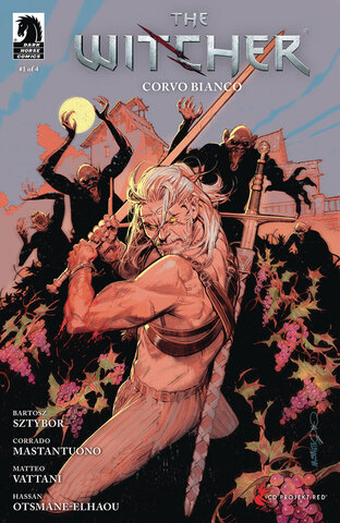 Witcher Corvo Bianco #1 (Cover A)