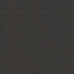 Искусственная кожа auto Bielastisch (Биэластик) 16133