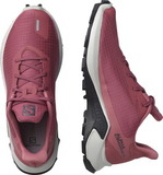 Кроссовки внедорожники Salomon Alphacross 3 W earth женские