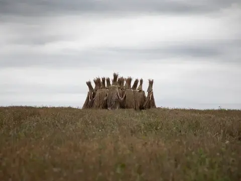 Приношение пашне