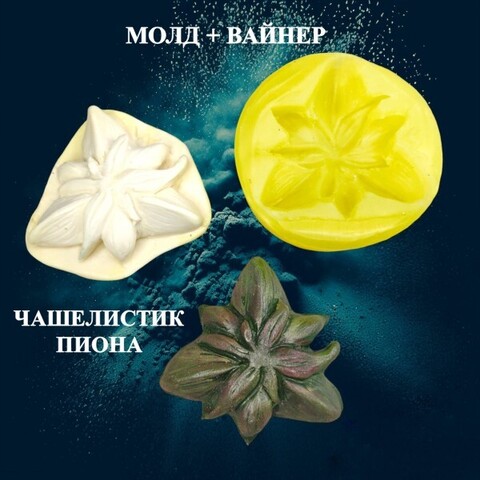 Молд пластиковый+Вайнер силиконовый 