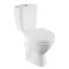 VitrA Norm Blum 9839B099-7201 Унитаз, сиденье термопласт, механизм смыва 3/6 л,универсальный выпуск