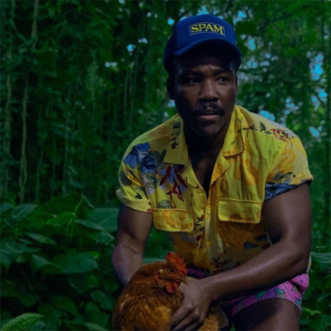 Виниловая пластинка Childish Gambino — Bando Stone and the New World (2 LP)