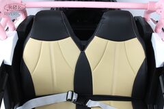 BUGGY E001EE 4WD с дистанционным управлением