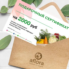 Подарочный сертификат на 2000 рублей