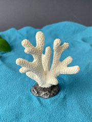 Кораллы, морская звезда, рыба, фигурки декоративные, кукольные миниатюры, набор 6 шт.