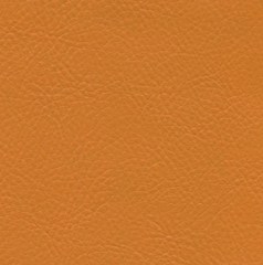 Искусственная кожа Alba aries 529 (Альба ариес 529)