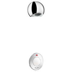 Delabie 749110 Душевой комплект TEMPOSTOP M1/2
