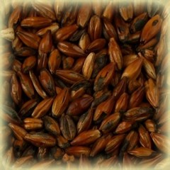 Солод кофе Браун Малт / Coffee / Brown Malt, 1 кг