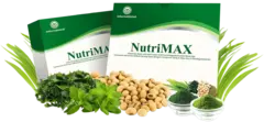 NutriMAX Протеиновый смузи для похудения 15 саше